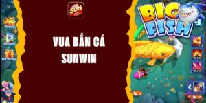 Vua Bắn Cá Sunwin - Trải Nghiệm Chơi Game Online Hấp Dẫn